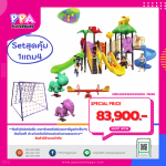 เครื่องเล่นสนามกลางแจ้ง-PRO-2024-11 0