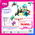 เครื่องเล่นสนามกลางแจ้ง-PRO-2024-7 0